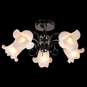 Потолочная люстра 30063 30063/5 черный