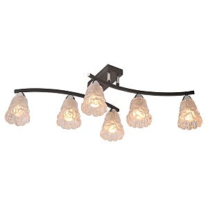 Потолочная люстра Atlanta 217/6PF-Blackchrome