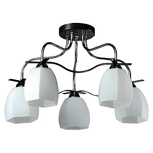 Потолочная люстра Des Moines 867/5PF-Dark