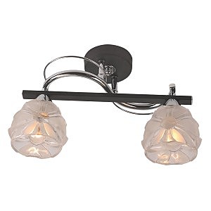 Потолочная люстра Augusta 218/2PF-Blackchrome