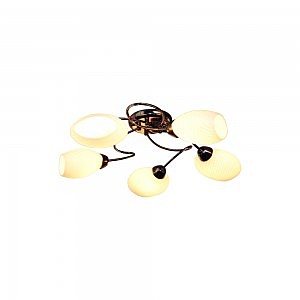 Потолочная люстра Elda 853/5PF-Blackchrome