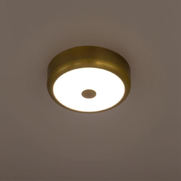 Светильник потолочный Фостер-1 CL706112