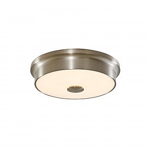 Светильник потолочный Фостер-2 CL706221