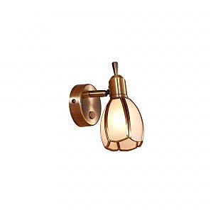 Светильник спот Альтен-2 CL522611