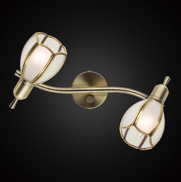 Светильник спот Альтен-2 CL522621