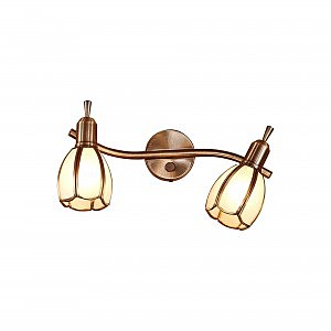 Светильник спот Альтен-2 CL522621