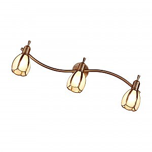 Светильник спот Альтен-2 CL522631