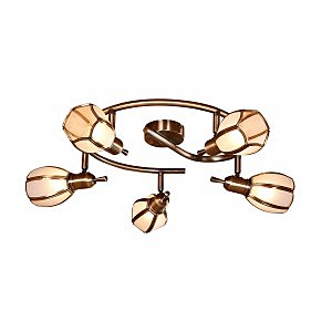 Потолочная люстра Альтен-2 CL522651