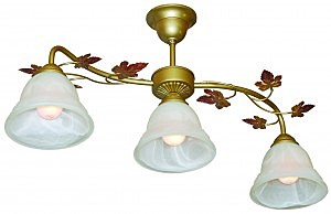 Потолочная люстра Волна L04P2-03-Z