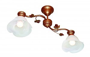 Потолочная люстра Ариэль L02P2-02-M