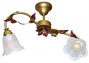 Потолочная люстра София L15P2-02-B