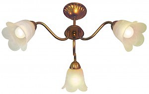 Потолочная люстра Луиза L07P1-03-Z