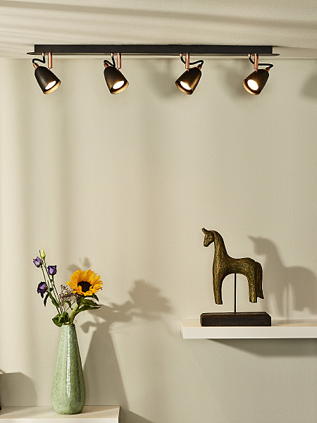 Светильник спот Ride-Led 26956/20/17