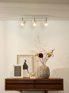 Светильник спот Rilou 26994/15/31