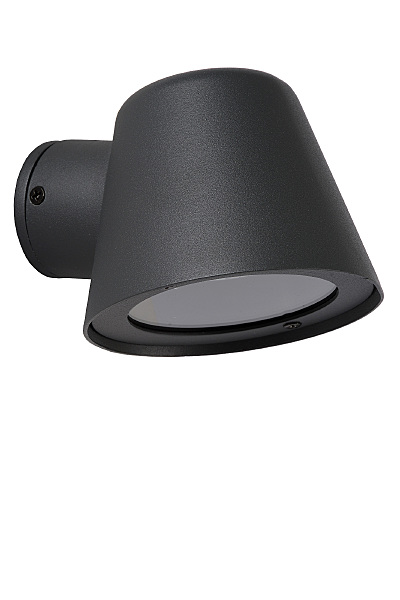 Уличный настенный светильник Dingo Led 14881/05/30