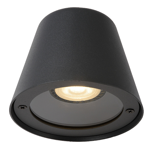Уличный настенный светильник Dingo Led 14881/05/30