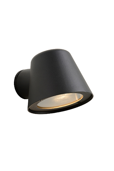 Уличный настенный светильник Dingo Led 14881/05/30