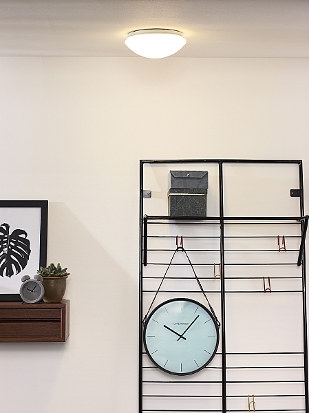 Настенно потолочный светильник Bianca-Led 79164/08/61