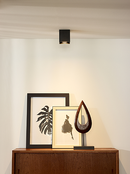 Накладной светильник Bodi 09101/01/30