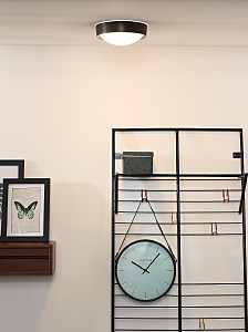 Настенно потолочный светильник Lex 08109/01/30