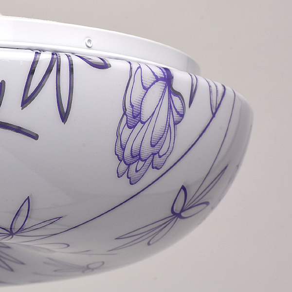 Светильник потолочный Омега 325014601