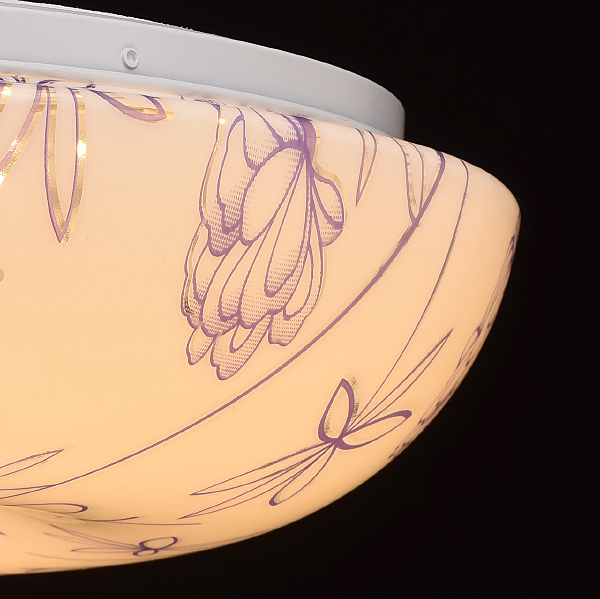 Светильник потолочный Омега 325014601