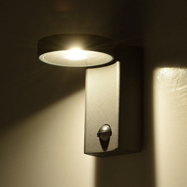 Уличный настенный светильник Меркурий 807022001