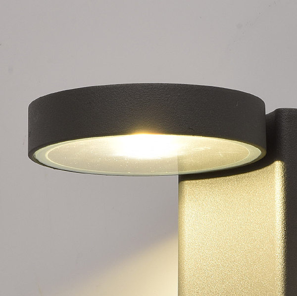 Уличный настенный светильник Меркурий 807022001