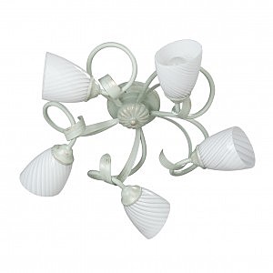 Потолочная люстра V3214 V3214/5PL