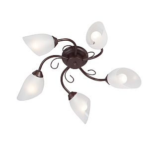 Потолочная люстра V3715 V3715/5PL