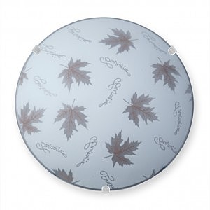 Настенно потолочный светильник V6283 V6283/1A