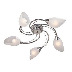 Потолочная люстра V3236 V3236/5PL