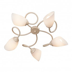 Потолочная люстра V3189 V3189/5PL