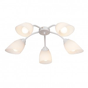 Потолочная люстра V3194 V3194/5PL