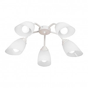 Потолочная люстра V3195 V3195/5PL