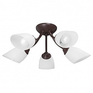 Потолочная люстра Vitaluce V3404/5PL