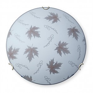 Настенно потолочный светильник V6285 V6285/2A