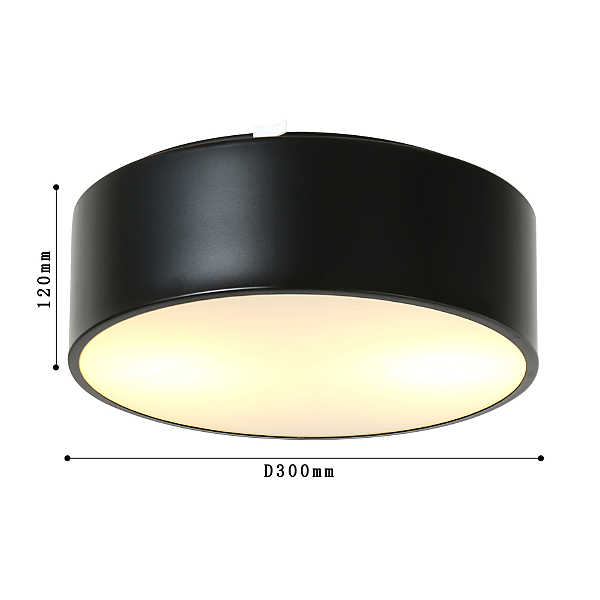 Потолочный светильник Favourite  Cerchi 1514-2C