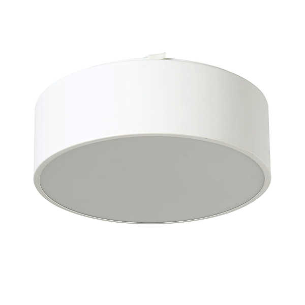 Потолочный светильник Favourite  Cerchi 1515-2C