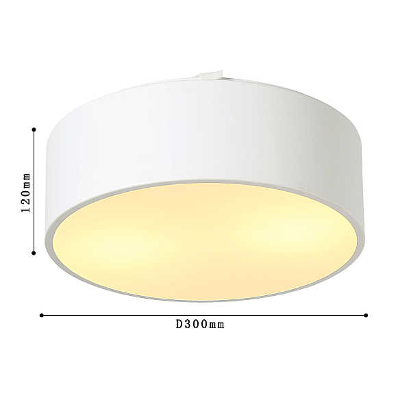 Потолочный светильник Favourite  Cerchi 1515-2C