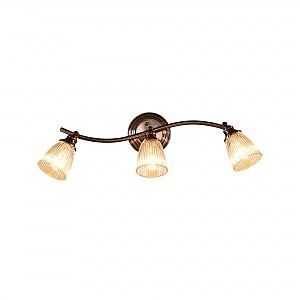 Светильник спот Виндзор CL539531