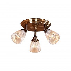 Светильник спот Виндзор CL539631