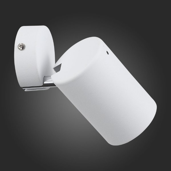 Светильник спот Fanale SL597.501.01