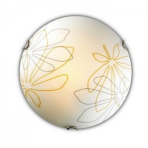 Настенно потолочный светильник Mortia 142/K