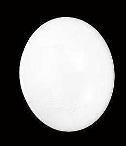 Настенно потолочный светильник Ava 2026/A