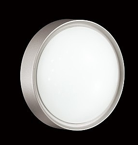 Настенно потолочный светильник Fasa 2029/A