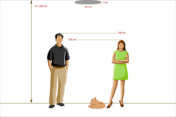 Светильник потолочный Норден 660012201
