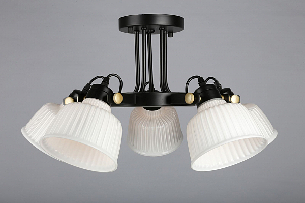 Потолочная люстра Zamora OML-28207-05