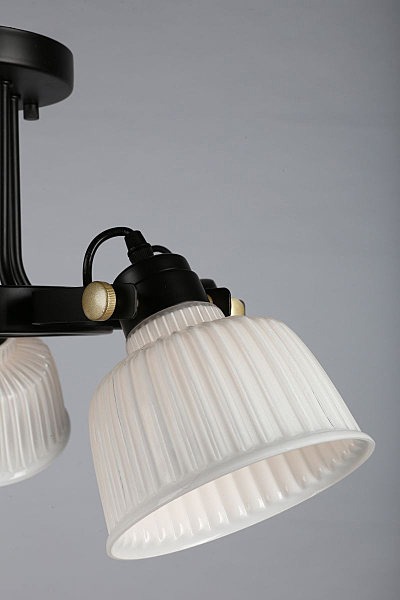 Потолочная люстра Zamora OML-28207-05