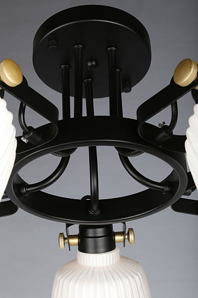 Потолочная люстра Zamora OML-28207-05